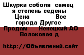 Шкурки соболя (самец) 1-я степень седены › Цена ­ 12 000 - Все города Другое » Продам   . Ненецкий АО,Волоковая д.